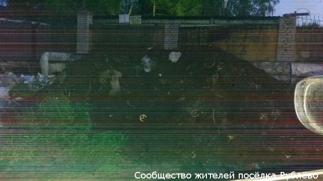 "Жилищник" уличили в вывозе мусора в лес "Жилищник" уличили в вывозе мусора в лес