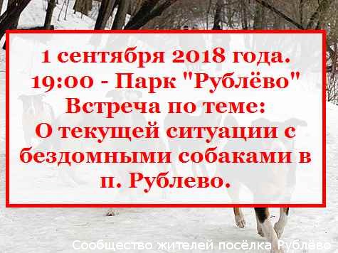 Встреча по теме: О текущей ситуации с бездомными собаками в п. Рублево Встреча по теме: О текущей ситуации с бездомными собаками в п. Рублево