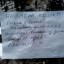 Найдена кошка!
